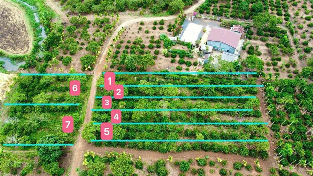 Đất nền cư kuin giá rẻ sẵn sổ, sẵn thổ cư giá từ 189tr