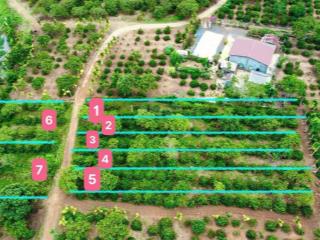 Đất nền cư kuin giá rẻ sẵn sổ, sẵn thổ cư giá từ 189 triệu