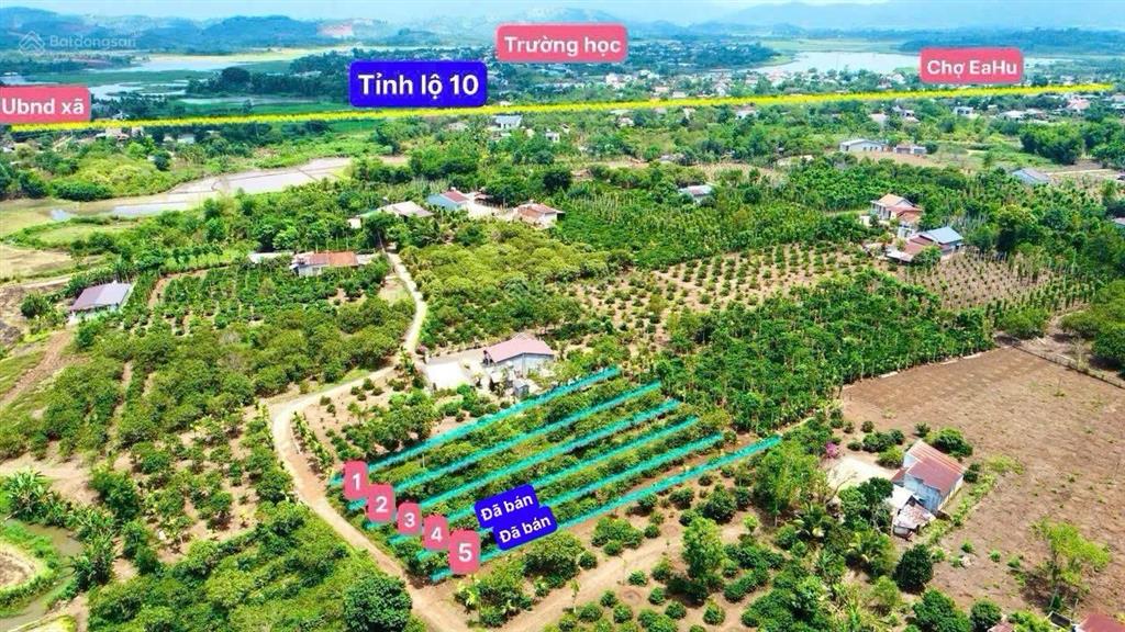 Đất nền view cánh đồng mặt tiền bê tông 6m chỉ 289