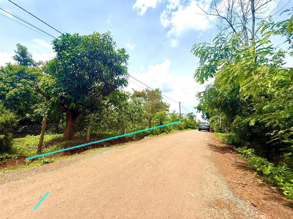 Đất nền mặt tiền nhựa oto né nhau gần hồ tự nhiên và các tiện ích, sẵn sổ hồng chỉ 299tr