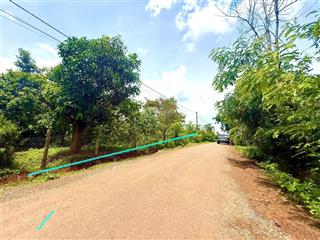 Đất nền mặt tiền nhựa oto né nhau gần hồ tự nhiên và các tiện ích, sẵn sổ hồng chỉ 299tr