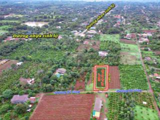 Đất sào full hồng 1158m2 tặng 60m2 thổ cư tại xã dray bhang (eabhok cũ) giá rẻ chỉ 599 triệu