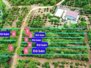 Đất view suối cây lâu năm giá rẻ chỉ 189tt