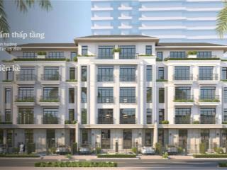 Bán biệt thự 5pn, 3wc, 120m2 giá siêu hời tại alluvia city, văn giang, hưng yên