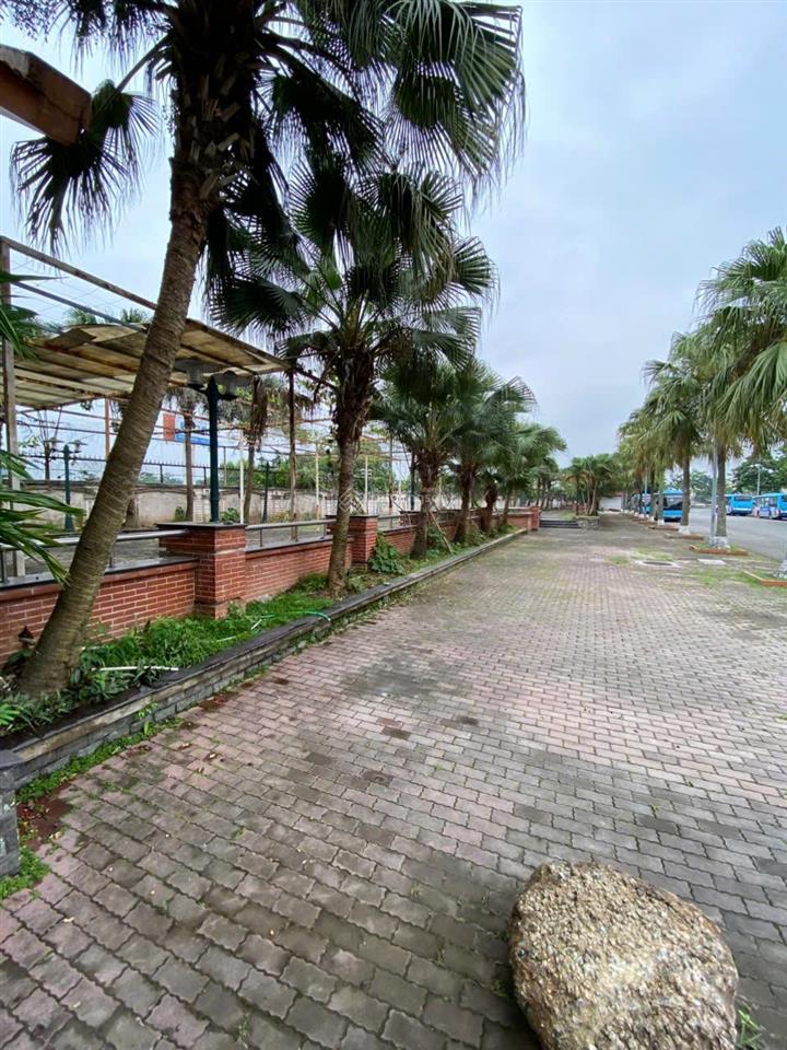 Cho thuê mặt bằng làm nhà hàng, dưỡng lão, đào tạo, dịch vụ 2000m2