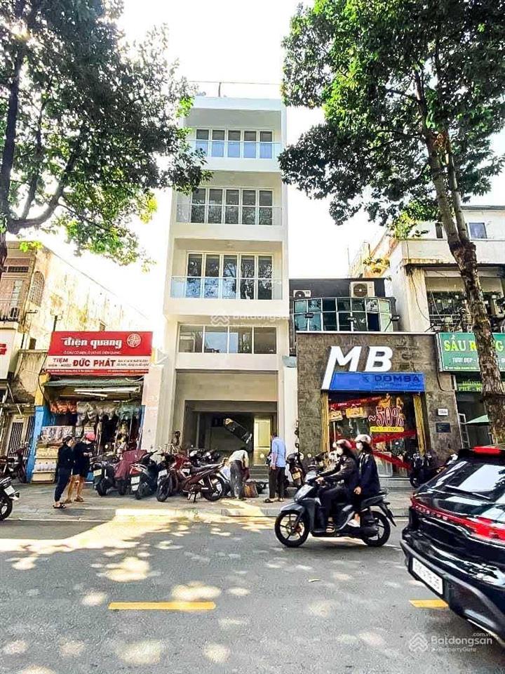 Biệt thự góc 2mt hẻm trần đình xu thông trần hưng đạo, p. cầu ông lãnh, q1, dt 320m2, giá chỉ 87 tỷ