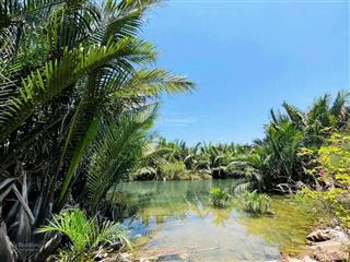 Hàng hiếm bán đất sở hữu view sông cẩm châu hội an  thích hợp sinh thái nghỉ dưỡng (ms451)