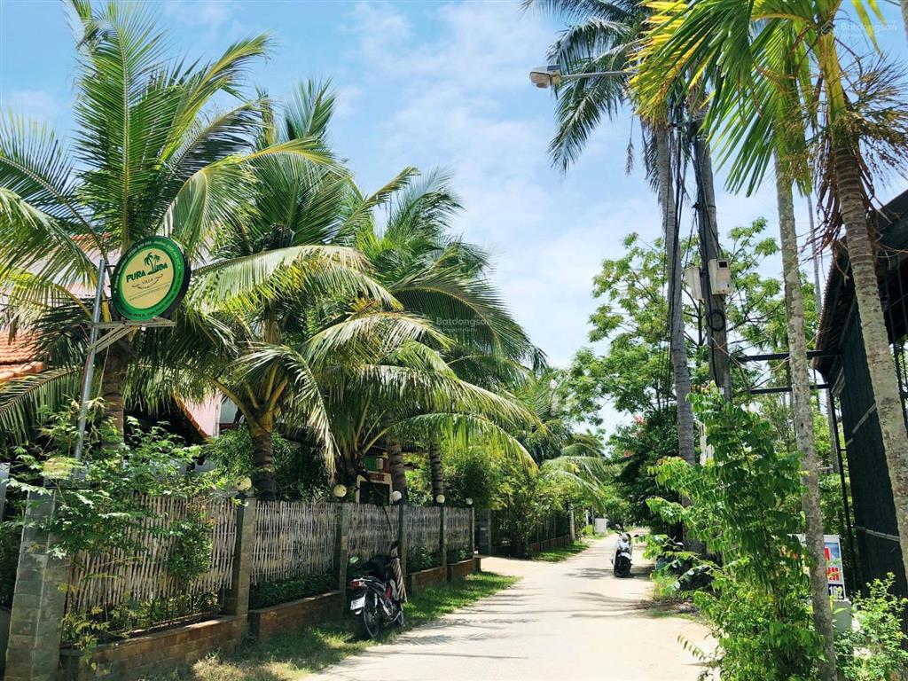 Hoàn toàn đất ở lên đến 2222m2 mặt tiền đường dx017 cẩm thanh, hội an view dừa sông