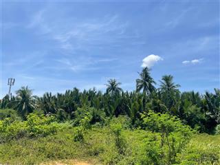 Bán đất đường dx17 cẩm thanh hội an  view dừa nước cực đẹp (ms478)