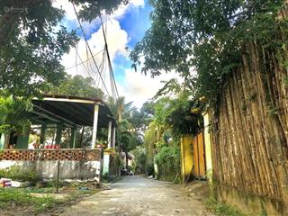 Bán đất ngay bãi biển an bàng hội an  cách biển chỉ vài bước chân  xung quanh villa, nhà hàng