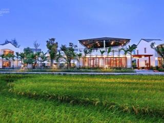 Cơ hội hiếm có  sở hữu khách sạn view cánh đồng lúa trung tâm hội an  dòng tiền khủng (ms500)