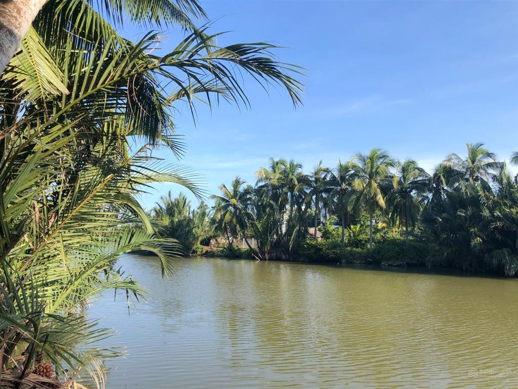 Hiếm có bán đất mặt tiền đường cửa đại  view sông view lúa. trục khách sạn sầm uất hội an (ms495)