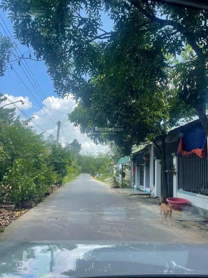 Đất nền tại định an, dầu tiếng, hồ chí minh giá cực chất 390 triệu, 1000m2