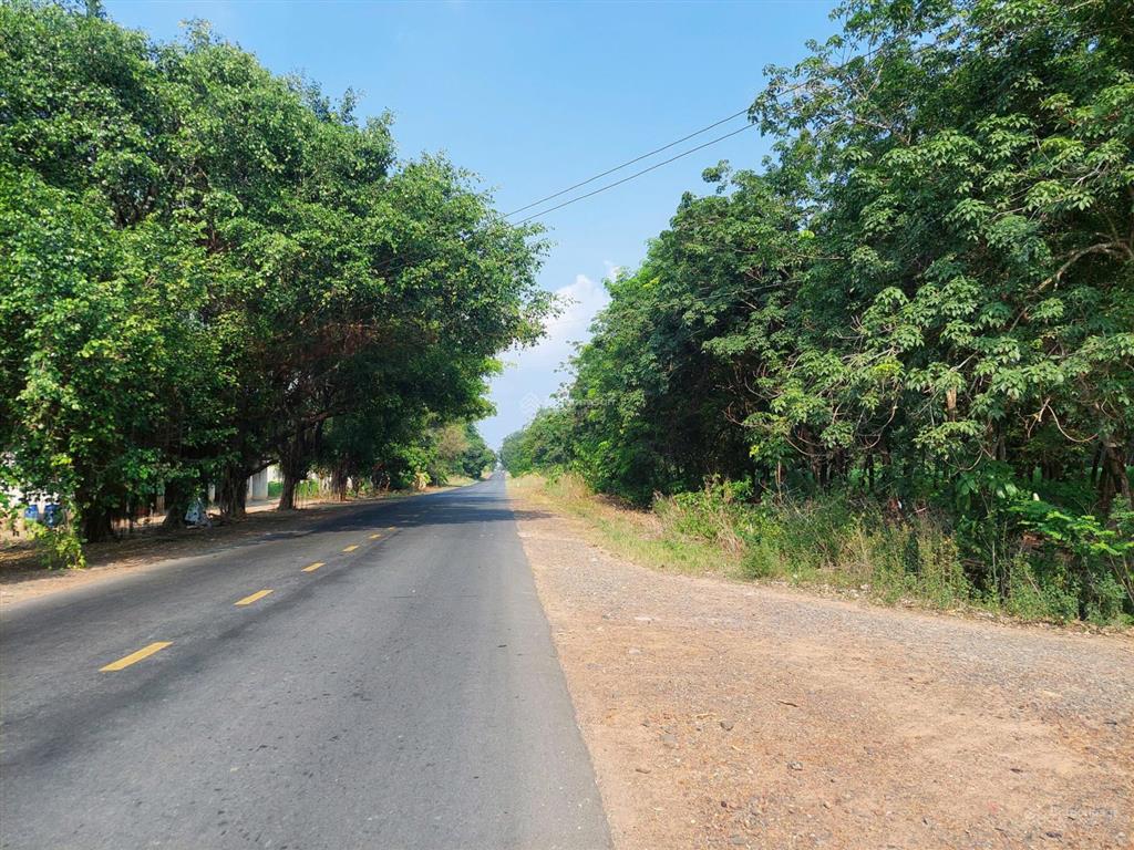 Bán đất ở 2218.8m2 đã tách 05 thửa ở đường dt 783 ấp thạnh phước, xã thạnh bình, tân biên, tây ninh