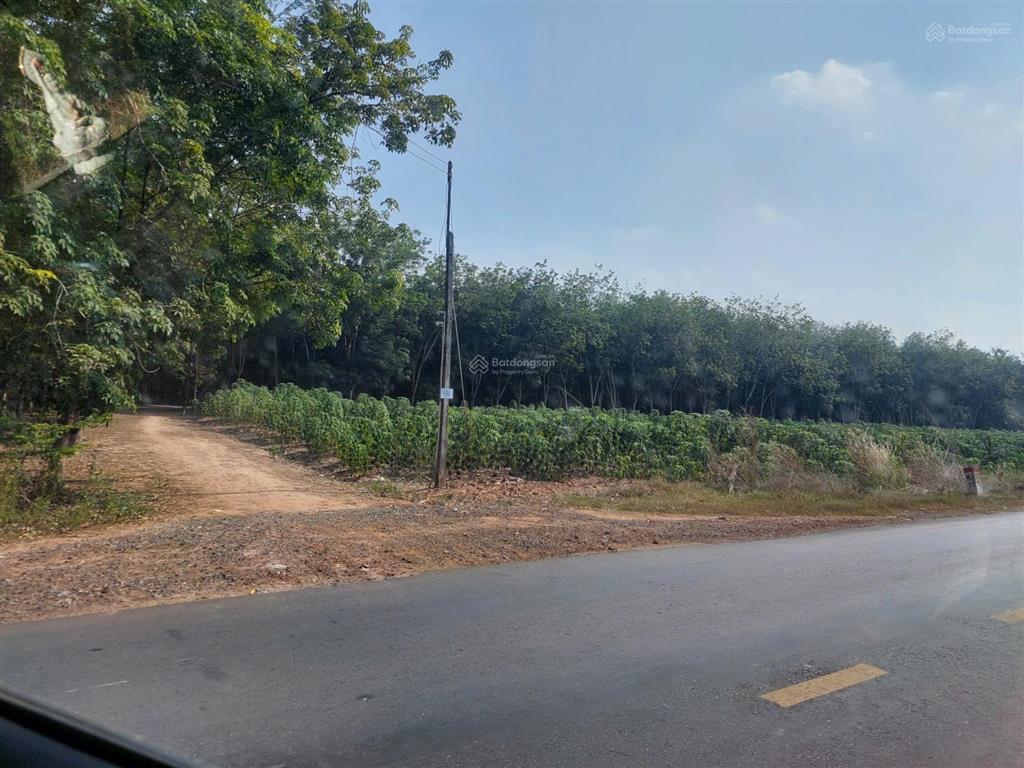 Bán đất ở 2218.8m2 đã tách 05 thửa ở đường dt 783 ấp thạnh phước, xã thạnh bình, tân biên, tây ninh