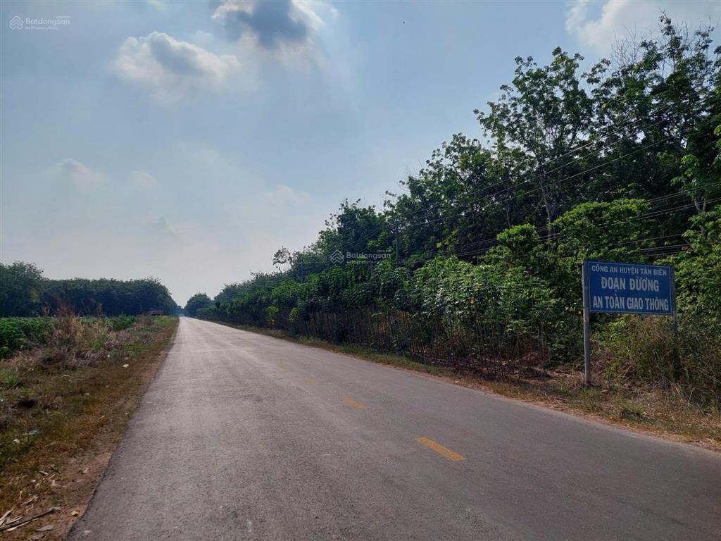 Bán đất ở 2218.8m2 đã tách 05 thửa ở đường dt 783 ấp thạnh phước, xã thạnh bình, tân biên, tây ninh