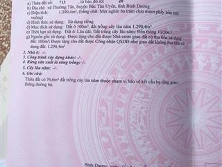 Bán đất ở 1390m2 tại ấp 1, xã thường tân, bắc tân uyên, bình dương, giá rẻ