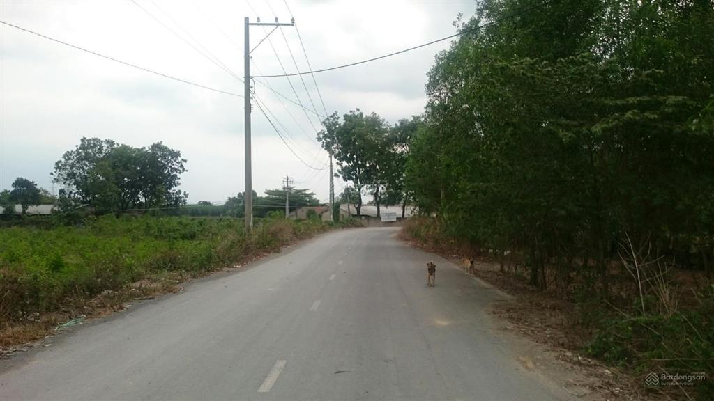 Bán lô đất mt đường sở quýt, ấp vàm xã thiện tân (p. trảng dài), đồng nai