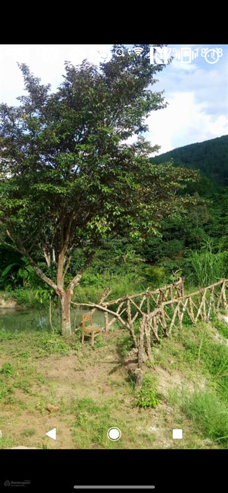 Chính chủ bán nhà vườn 6.000m2 sổ hồng ngoại thành, cách tt đà lạt 15km, đường lớn