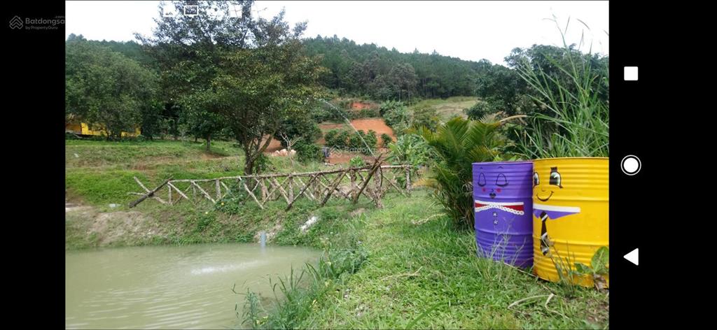 Chính chủ bán nhà vườn 6.000m2 sổ hồng ngoại thành, cách tt đà lạt 15km, đường lớn