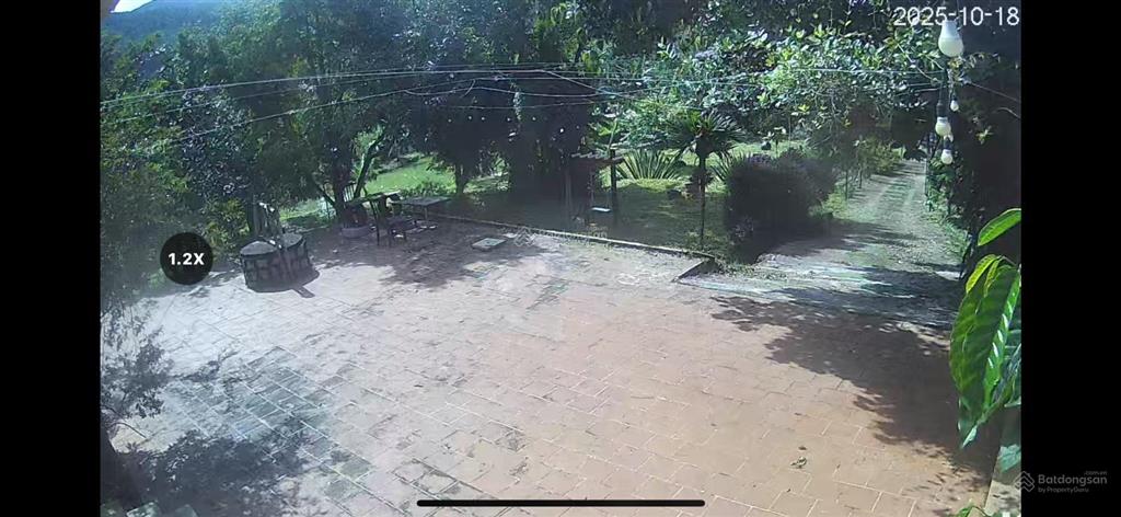 Chính chủ bán nhà vườn 6.000m2 sổ hồng ngoại thành, cách tt đà lạt 15km, đường lớn