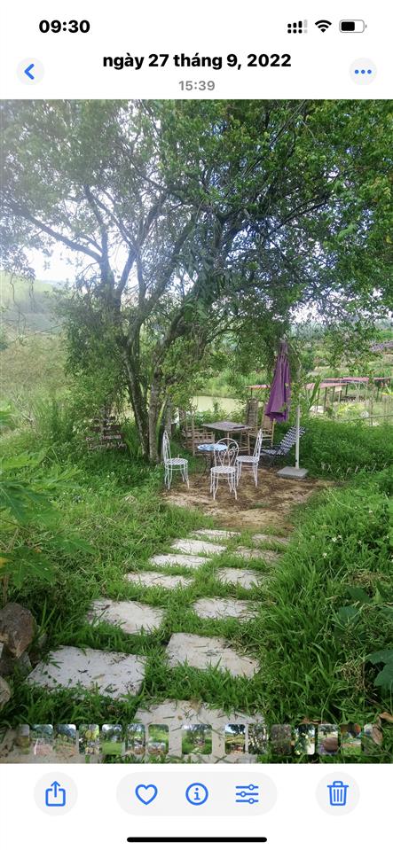 Chính chủ bán nhà vườn 6.000m2 sổ hồng ngoại thành, cách tt đà lạt 15km, đường lớn