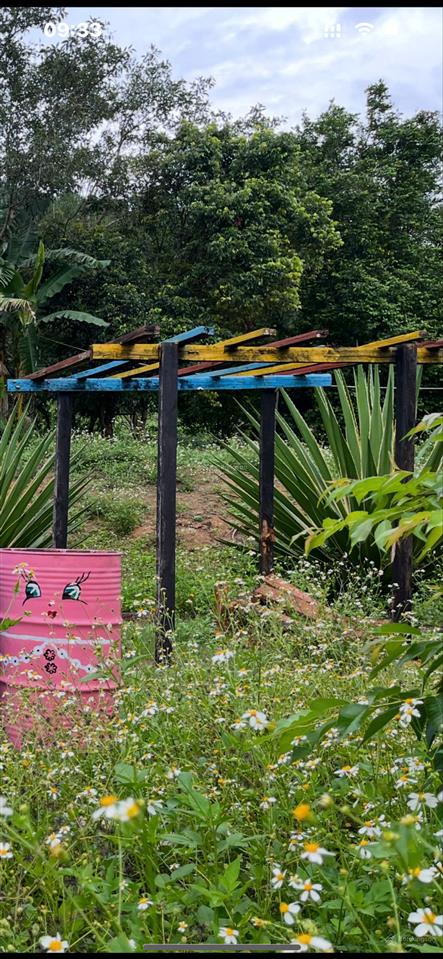 Chính chủ bán nhà vườn 6.000m2 sổ hồng ngoại thành, cách tt đà lạt 15km, đường lớn