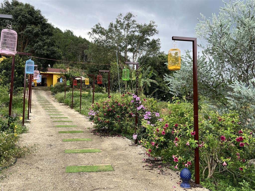 Chính chủ bán nhà vườn 6.000m2 sổ hồng ngoại thành, cách tt đà lạt 15km, đường lớn