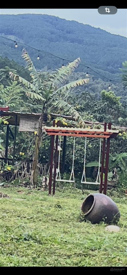 Chính chủ bán nhà vườn 6.000m2 sổ hồng ngoại thành, cách tt đà lạt 15km, đường lớn