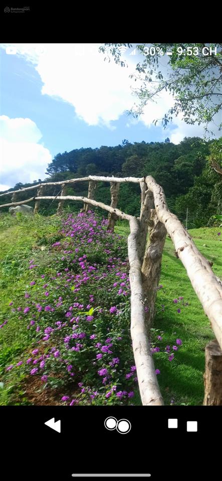 Chính chủ bán nhà vườn 6.000m2 sổ hồng ngoại thành, cách tt đà lạt 15km, đường lớn