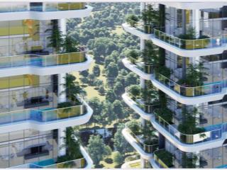 Căn hộ hạng sang  cách times city 1km