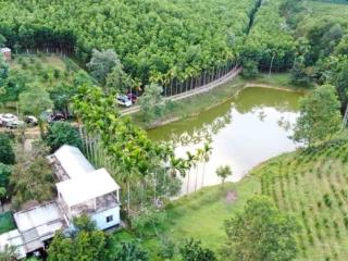 Bán đất hòa ninh 100 hecta vị trí gần các khu trung tâm tm tự do