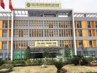 3,5 tỷ  65m đất trâu quỳ gia lâm, gần cầu vĩnh tuy, aeon mall, đại học nông nghiệp
