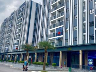 Chung cư nhà ở xã hội bắc ninh cát tường smart city,cát tường thống nhất smart city