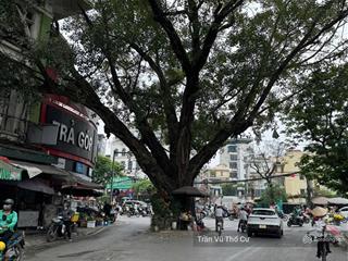 Bán nhà phố thụy khuê  kinh doanh đỉnh  hiếm