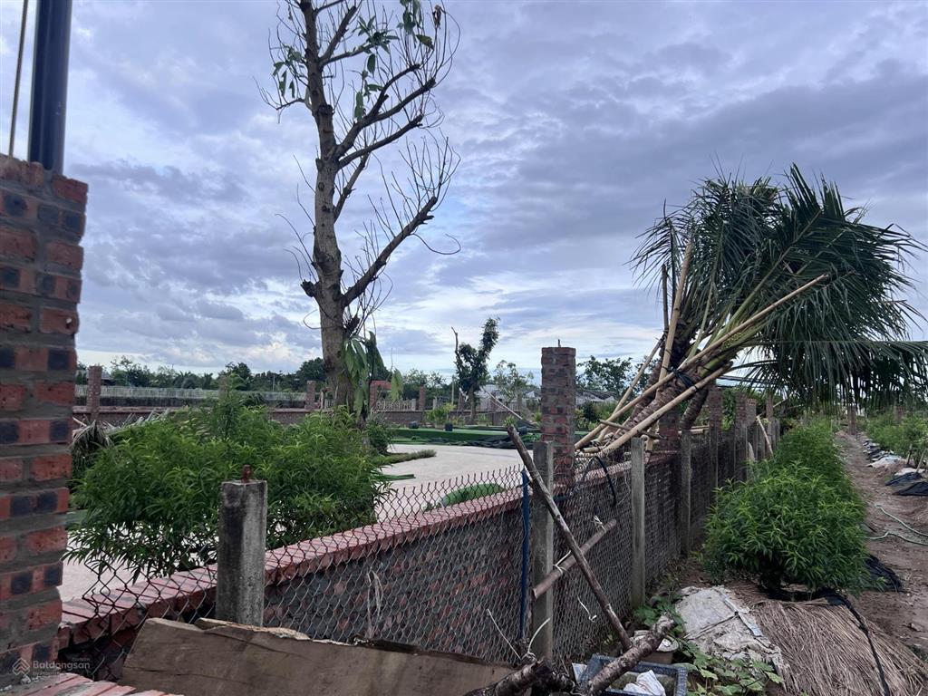 Siêu phẩm nhà vườn hồng vân 2600m2 mặt tiền 27m, giá chỉ 3tr/m2. chính chủ cần bán gấp đất