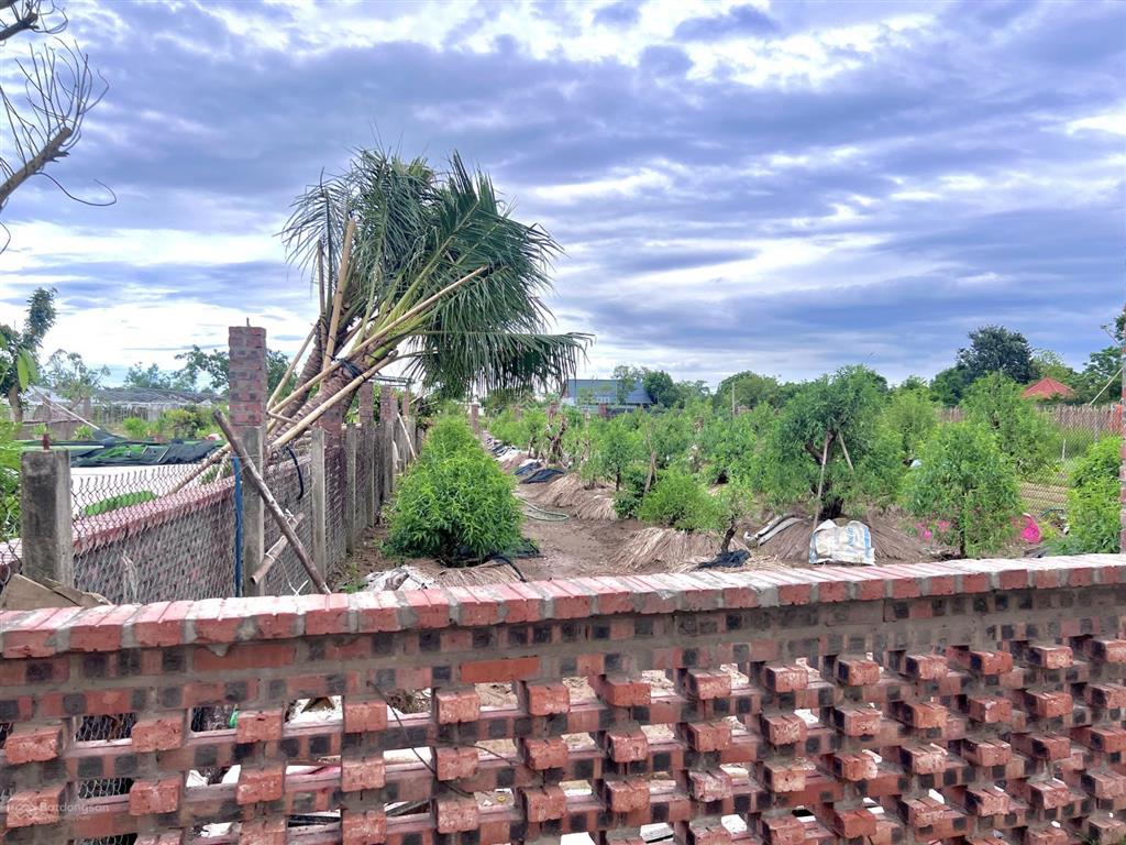 Siêu phẩm nhà vườn hồng vân 2600m2 mặt tiền 27m, giá chỉ 3tr/m2. chính chủ cần bán gấp đất