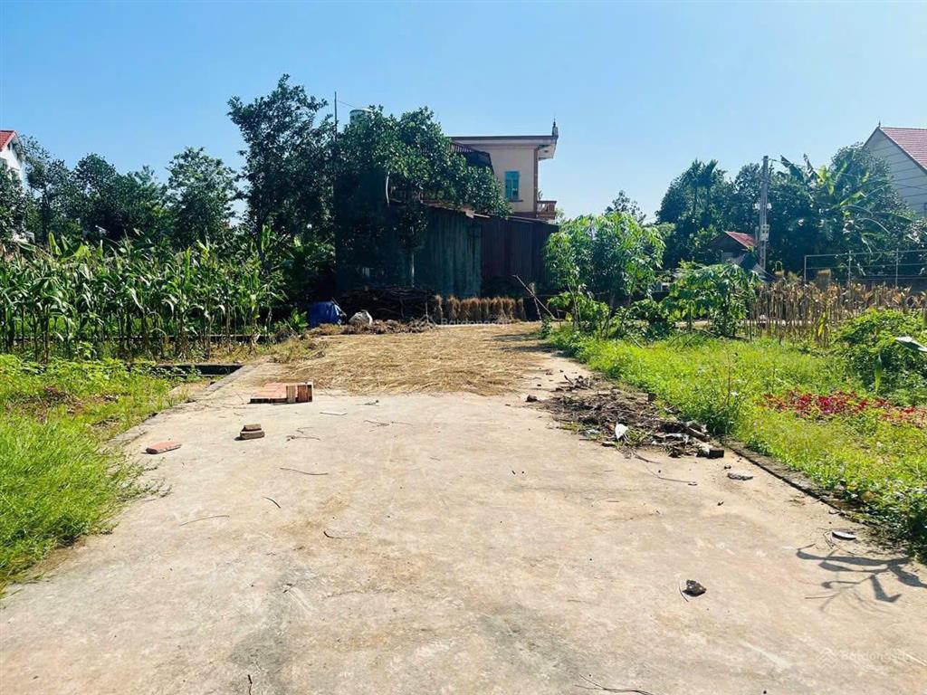 80m full thổ cư đan tảo tân minh sóc sơn hà nội đường trước đát rộng 5m cách đường 131 chỉ 150m