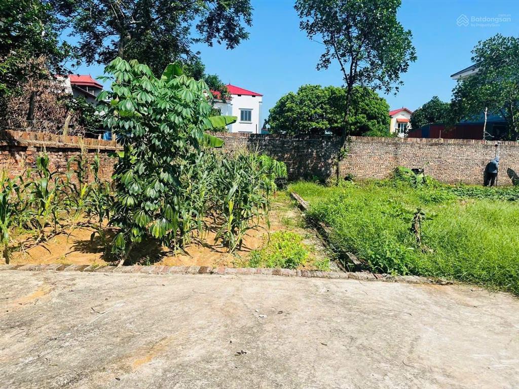 80m full thổ cư đan tảo tân minh sóc sơn hà nội đường trước đát rộng 5m cách đường 131 chỉ 150m