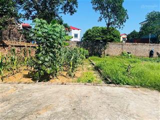 80m full thổ cư đan tảo tân minh sóc sơn hà nội đường trước đát rộng 5m cách đường 131 chỉ 150m