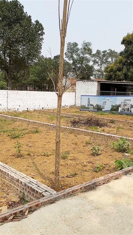 Chính chủ cắt lỗ cần bán 03 lô đất rẻ nhất cổ đông