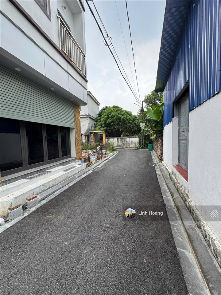 Siêu phẩm đất đầu tư mai lâm, đông anh, 432m2 full thổ cư mặt tiền & hậu 15,6m  độc quyền