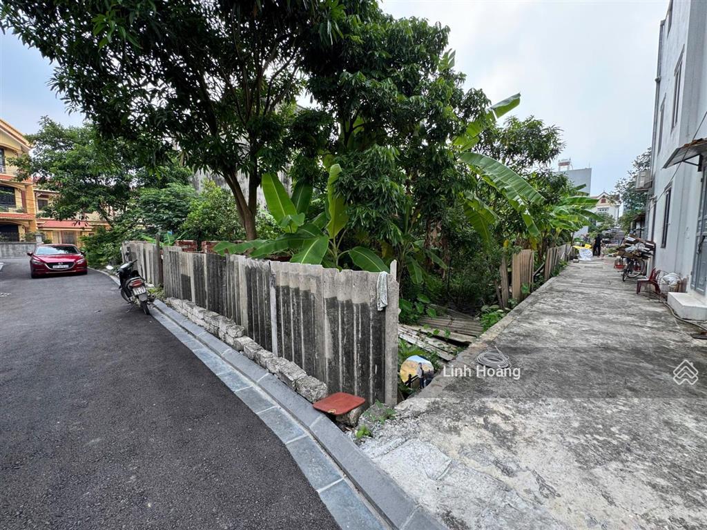 Siêu phẩm đất đầu tư mai lâm, đông anh, 432m2 full thổ cư mặt tiền & hậu 15,6m  độc quyền