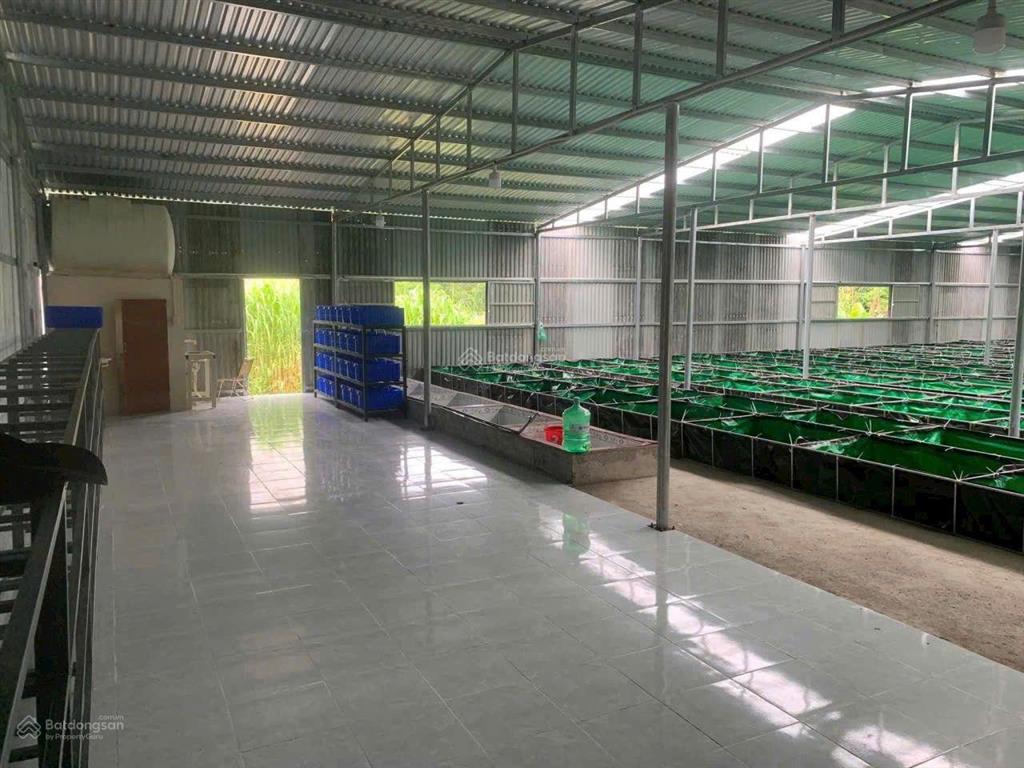 Cơ hội siêu hời ngay trung tâm hòa vang anh chị nào đang tìm đất rộng, có sẵn nhà xưởng,