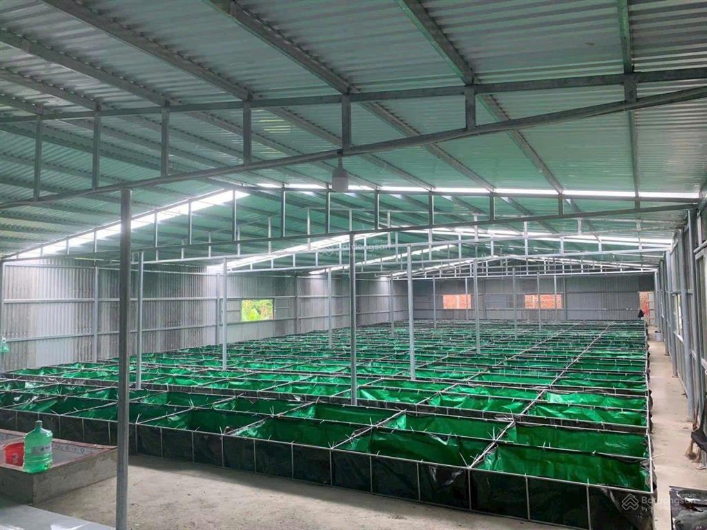 Cơ hội siêu hời ngay trung tâm hòa vang anh chị nào đang tìm đất rộng, có sẵn nhà xưởng,