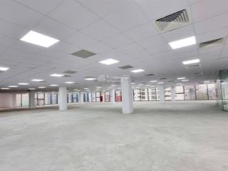 Chính chủ cho thuê vp tại dreamland bonanza duy tân. dt 50m²80m²120m²300m²500m², giá 120k/m2/th