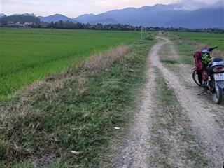 Bán lô đất ruộng siêu vị trí ninh quang, ninh hòa