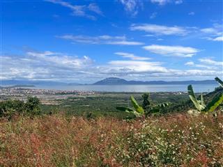 Bán đất rừng view biển ninh diêm, ninh hòa diện tích 2,6ha