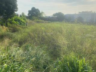 Bán đất full thổ cư gần trục đường tỉnh lộ 825, xã lộc giang, huyện đức hoà, long an