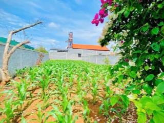 Bán gấp lô đất đẹp liên nghĩa, chỉ cách sân bay liên khương 1km